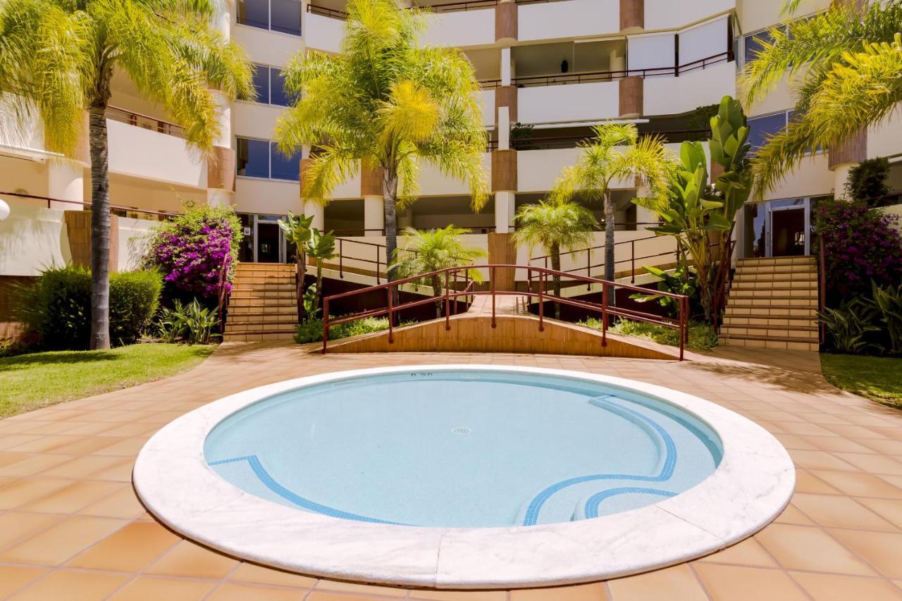 Avelãs - Modern - Appartement
